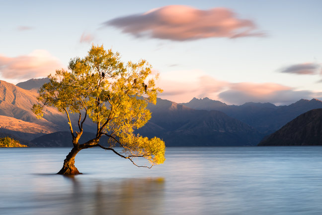The Scenic South Island 