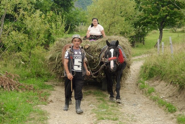 Rural Romania