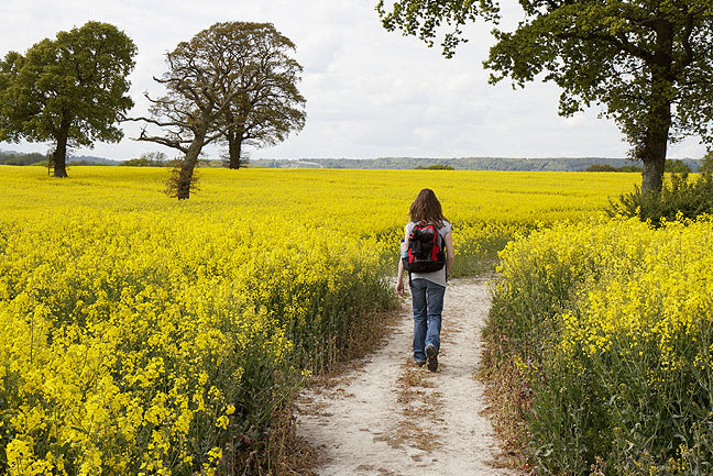 South Downs Way