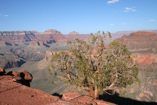Grand Canyon & American West