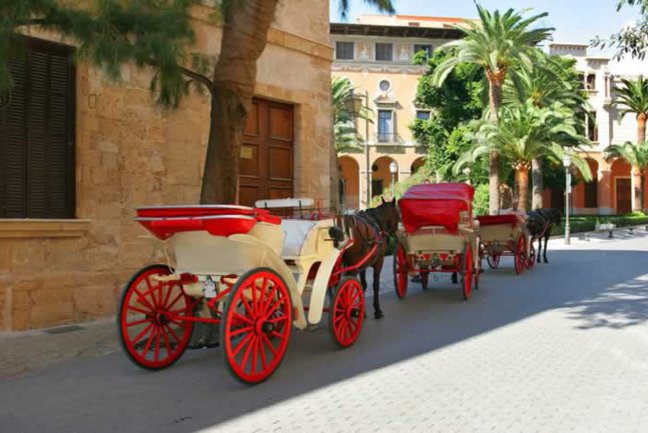 Take a horse-drawn ride around the streets of Palma