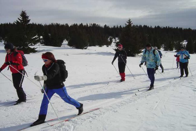 Cross-country skiing through the forest