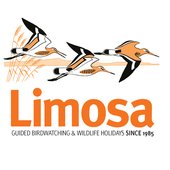 Limosa Holidays