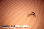 Nomadic Thoughts (Worldwide Travel)