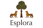 Esplora Travel