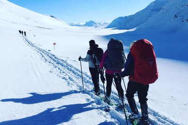 Snowshoe and Winter Trekking