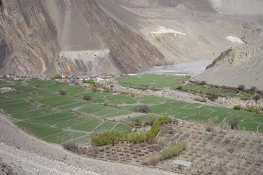 Trekking in Ladakh