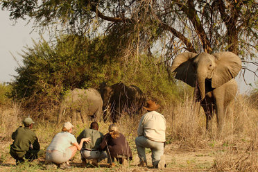 Zambia, perfect walking country