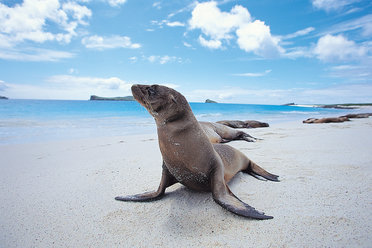 galapagos islands