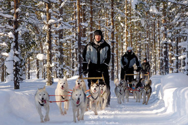 Husky sledding in Finland © Iso-Syote