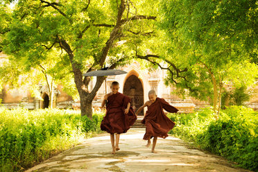 Monks in Cambodia