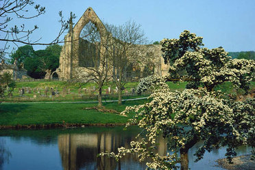 Bolton Abbey