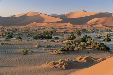 Namibia's landscapes are spectacular.