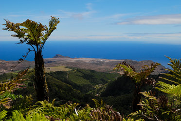 St Helena, Diana's Peak