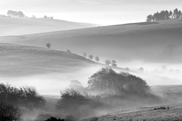 Exmoor by Peter Hendrie