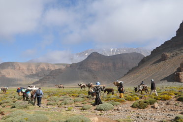 Berber Migration