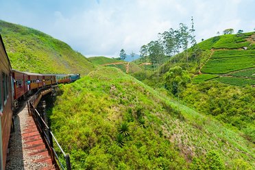 Hill Country train