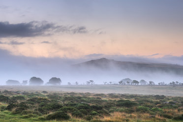 Dartmoor