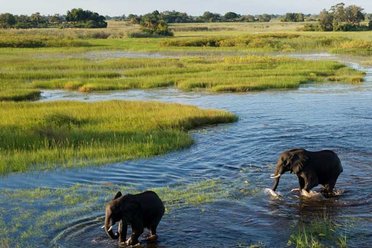 Botswana Courtesy Bushbaby Travel