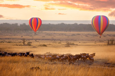 Kenya Courtesy Bushbaby Travel