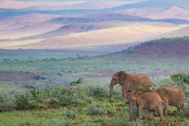 Nambia Courtesy Shutterstock