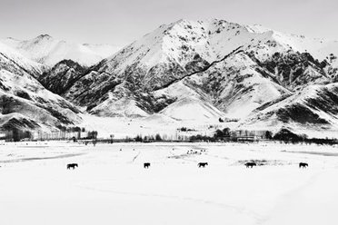 Kyrgyzstan