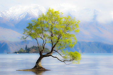 New Zealand