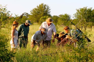 WALKING SAFARIS