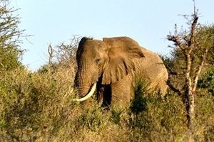 Creating a formal Responsible Travel Programme to raise awareness about projects that Dragoman Overland support.