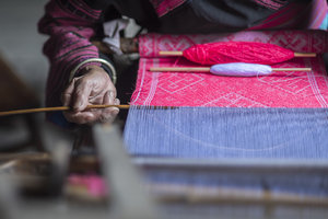 Supporting the start of sustainable businesses around the world