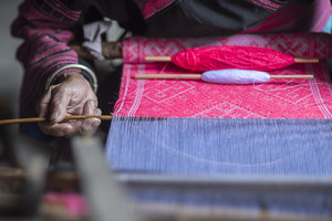 Supporting the start of sustainable businesses around the world (2019)